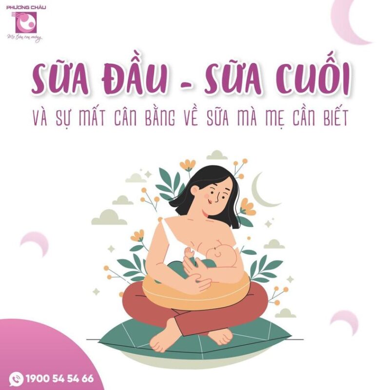 sữa đầu, sữa cuối và sự mất cân bằng về sữa mà mẹ cần biết